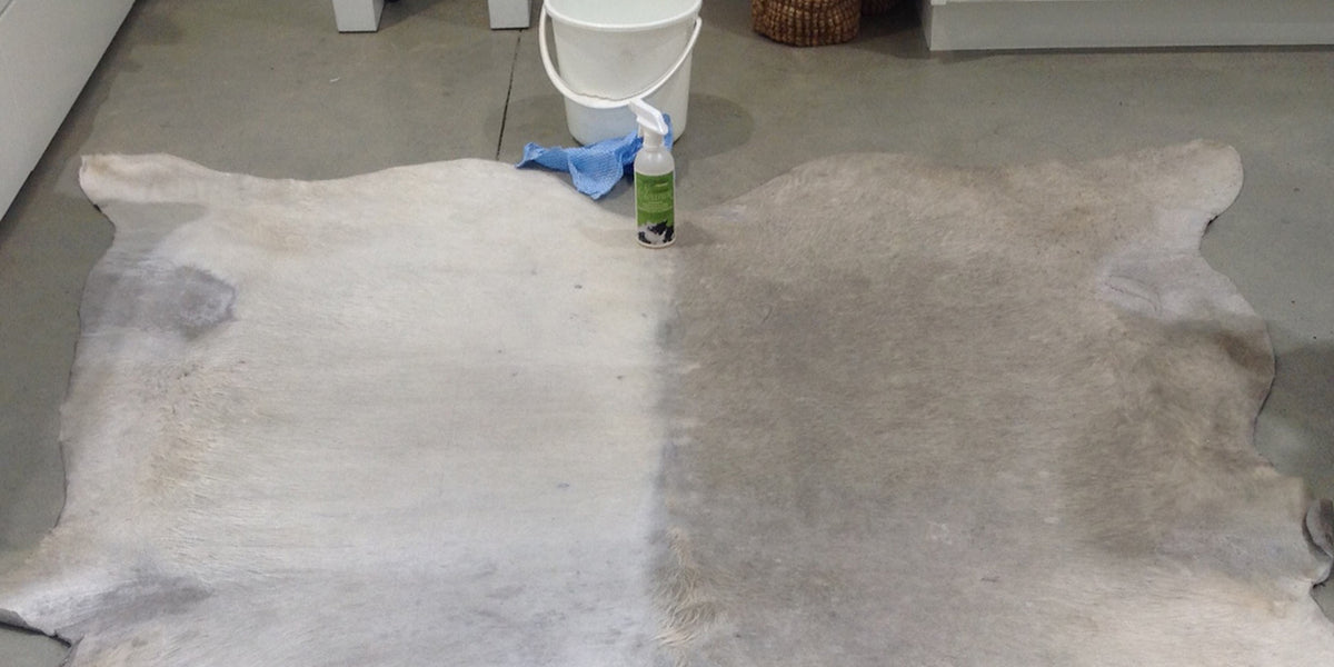Cowhide Cleaning Case Study Dirty White Cowhide Rug — Gorgeous Creatures