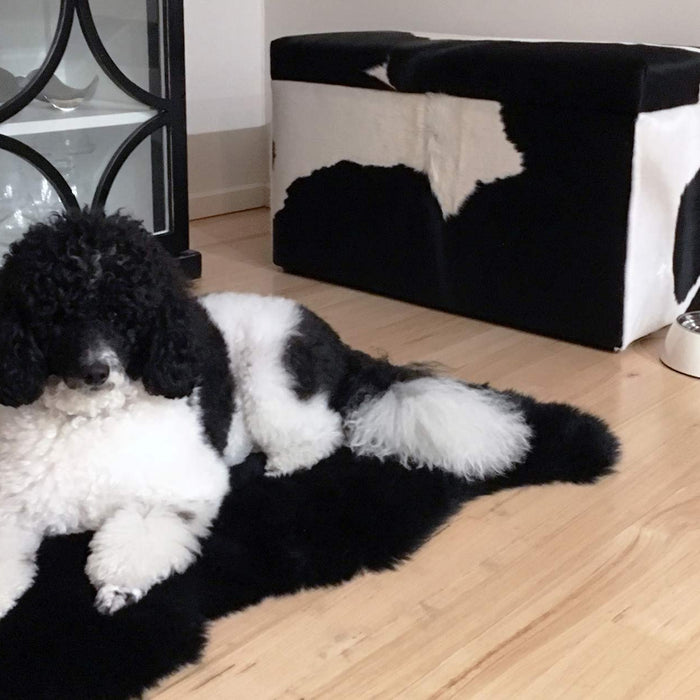 Cowhide storage ottoman for storing pet toys