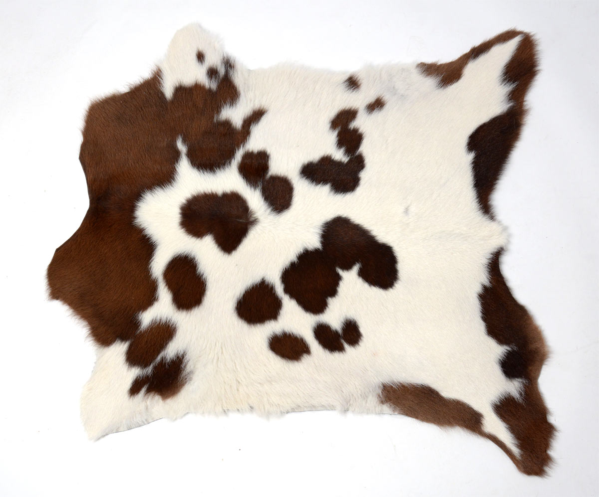 Calf Rugs Sydney Brown White Calfskin Small Animal Rug — Creatures