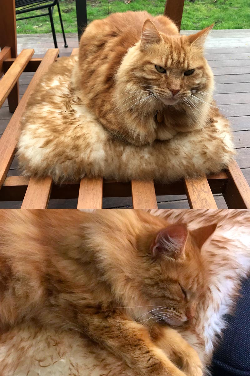 Pet Bed Sheepskin Rugs